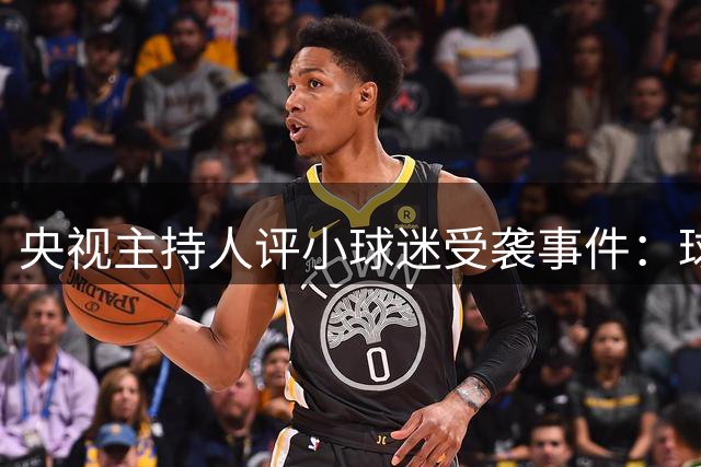 央视主持人评小球迷受袭事件：球迷情绪应当合理表达